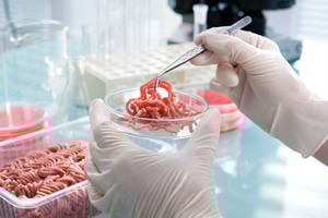 Meat being analysed in a laboratory for signs of food fraud
